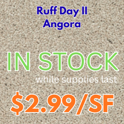 Image Alt Text